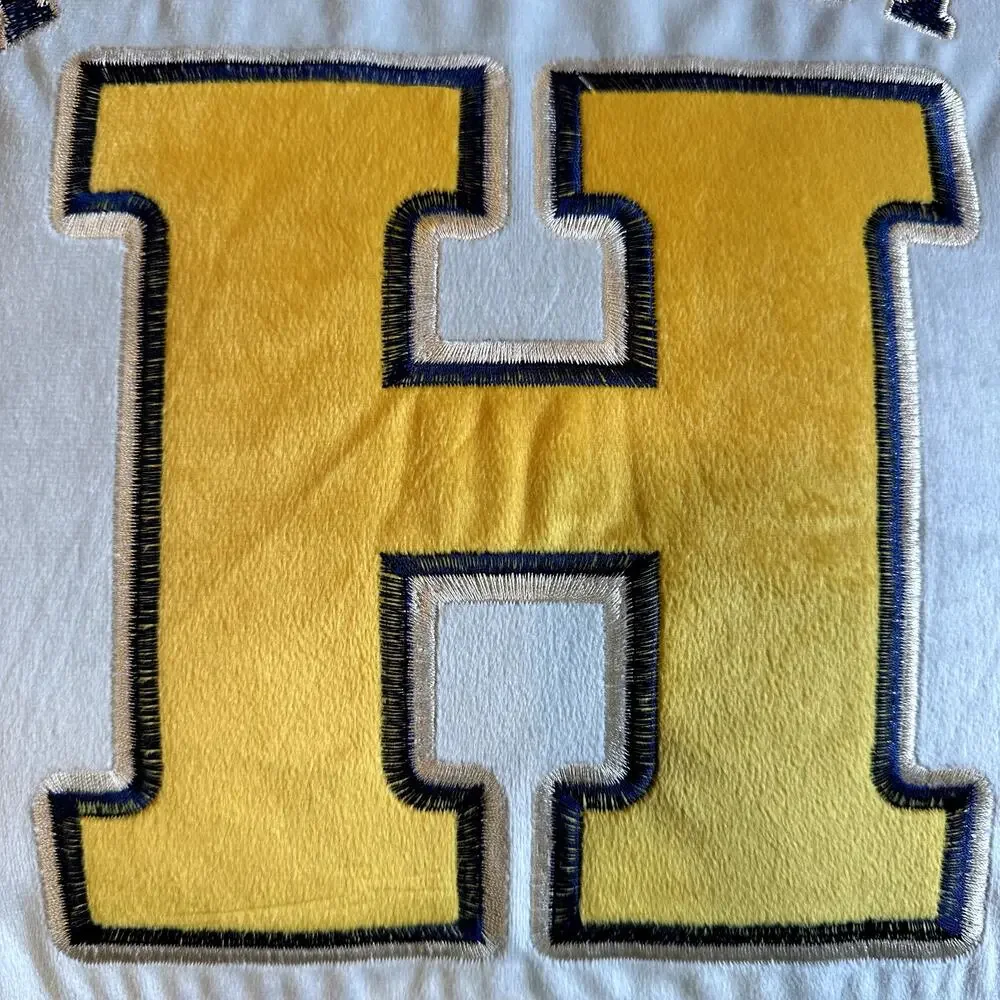 Harry Potter Hogwarts Quidditch Pillow 17x17 Embroidered Logo Gray Yellow Blue
